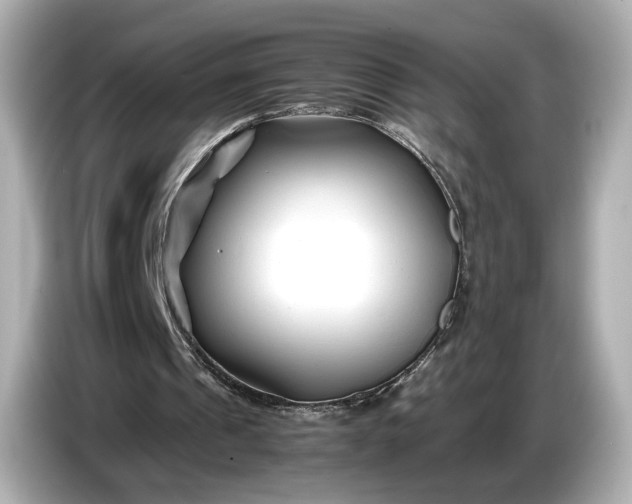 X0000086960241200704301243