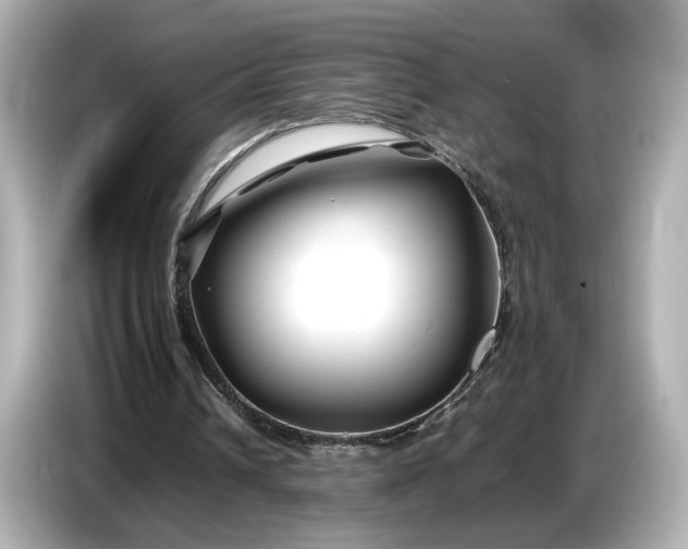 X0000086960242200704301243