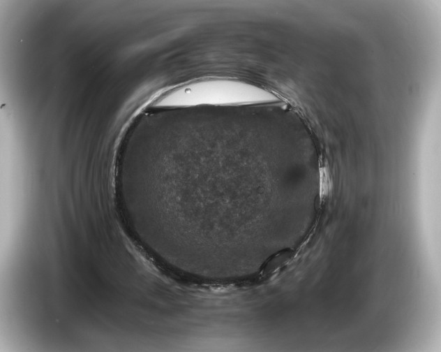 X0000086960243200704301243