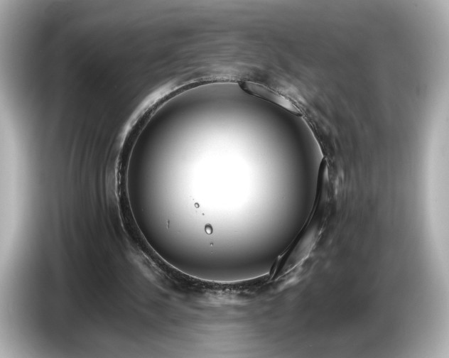X0000086960244200704301243