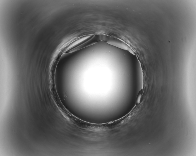 X0000086960245200704301243