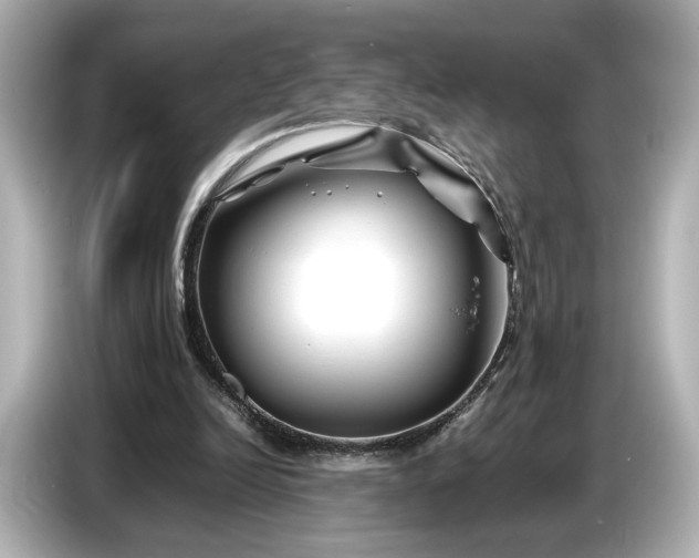 X0000086960246200704301243