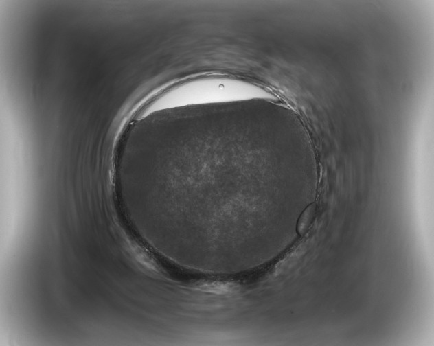 X0000086960247200704301243