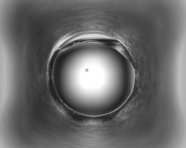 X0000086960248200704301243