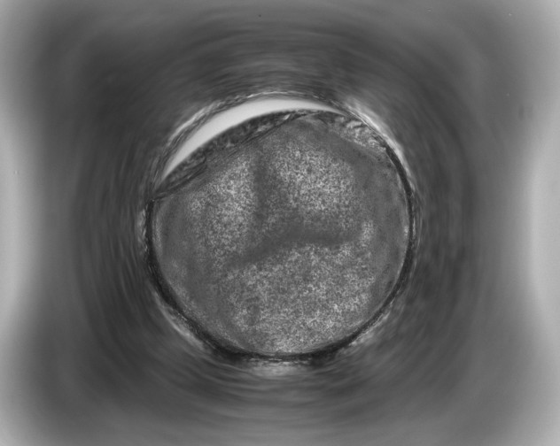 X0000086960249200704301243