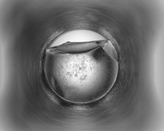 X0000086960250200704301243