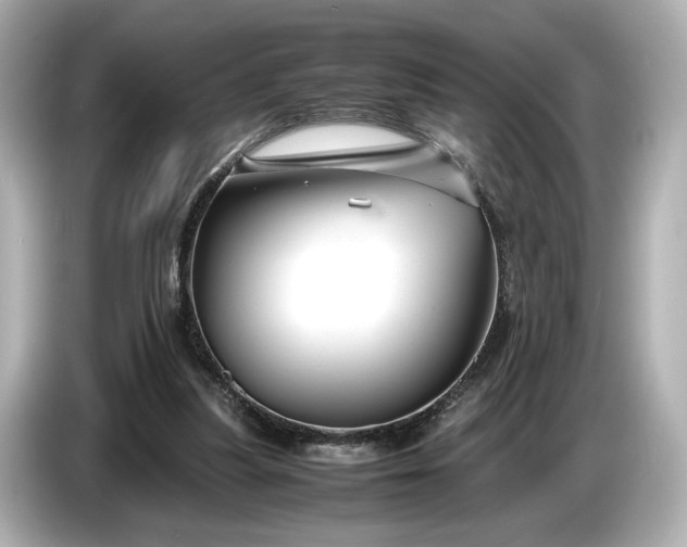 X0000086960251200704301243