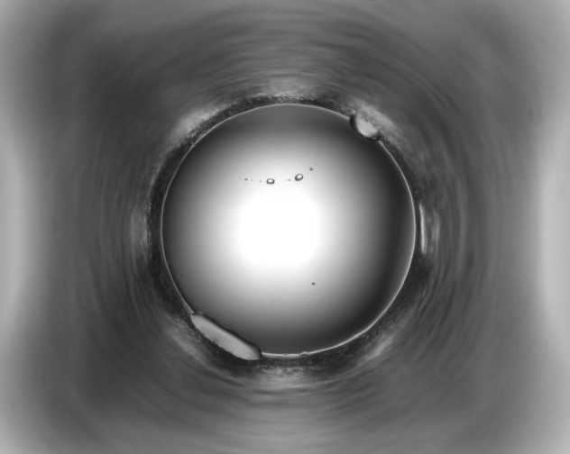 X0000086960252200704301243