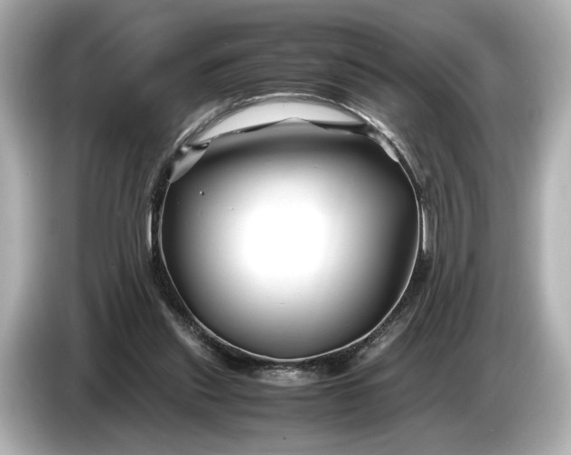 X0000086960253200704301243