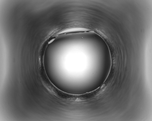 X0000086960254200704301243