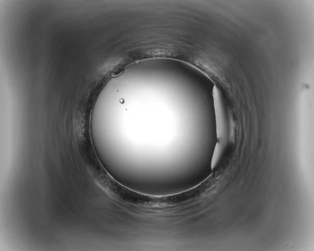 X0000086960255200704301243