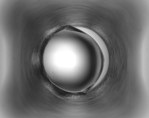 X0000086960256200704301243