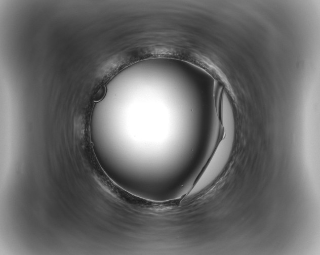 X0000086960257200704301243