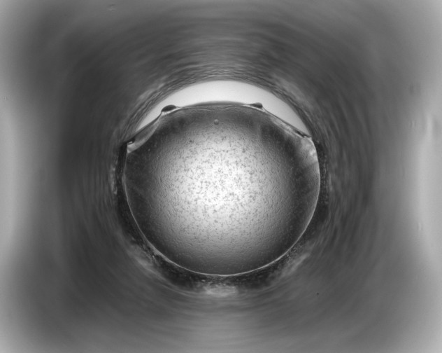 X0000086960258200704301243