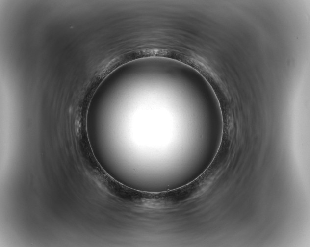 X0000086960259200704301243