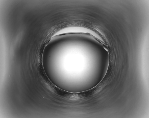 X0000086960261200704301243