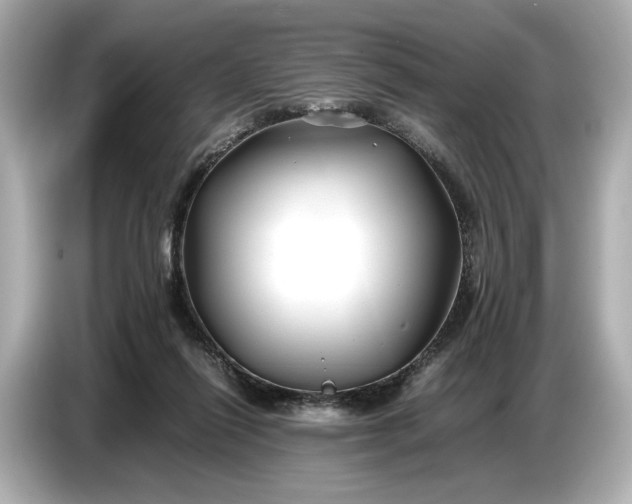 X0000086960262200704301243