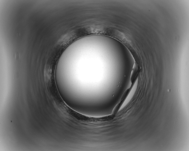 X0000086960263200704301243