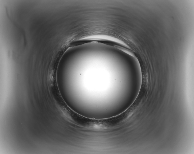 X0000086960264200704301243