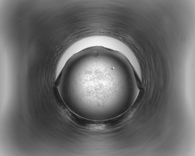 X0000086960266200704301243