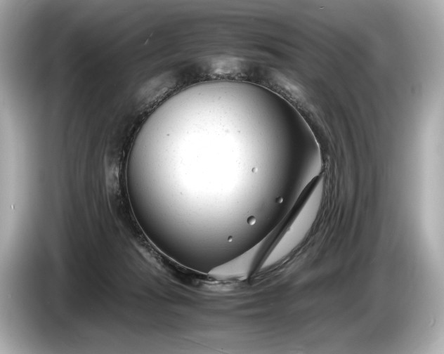X0000086960269200704301243