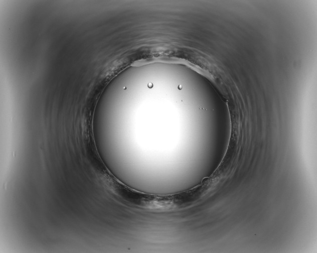 X0000086960270200704301243