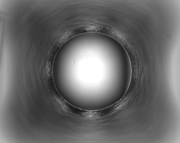 X0000086960273200704301243