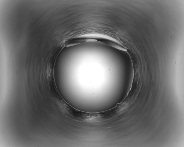X0000086960274200704301243