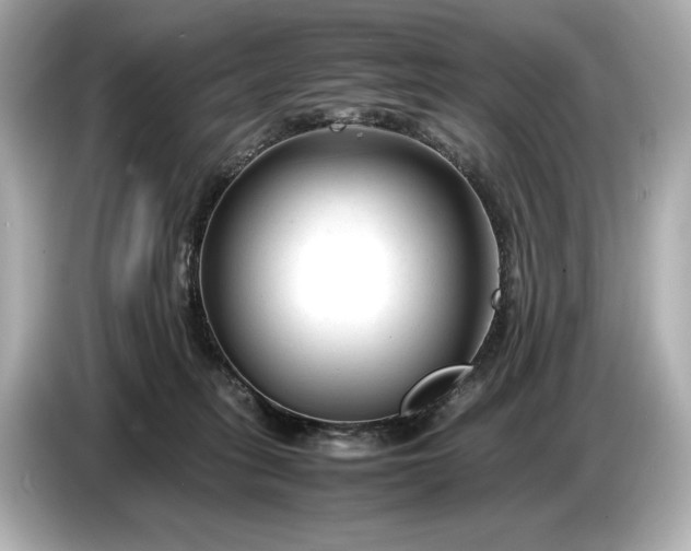 X0000086960275200704301243
