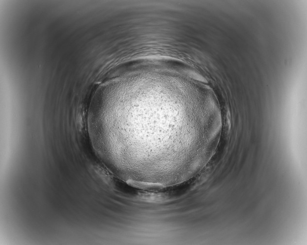X0000086960276200704301243