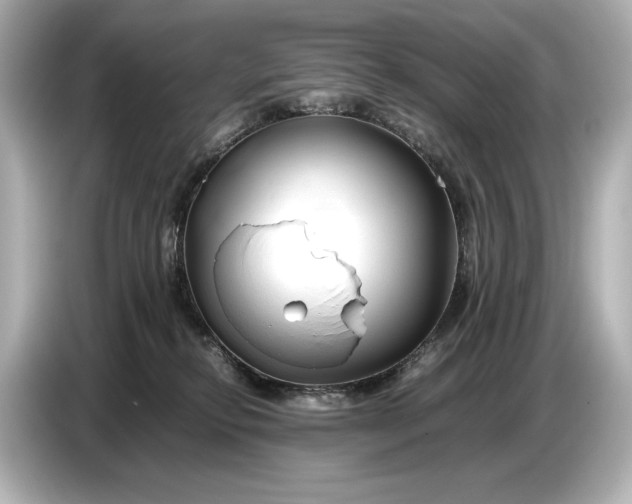 X0000086960278200704301243