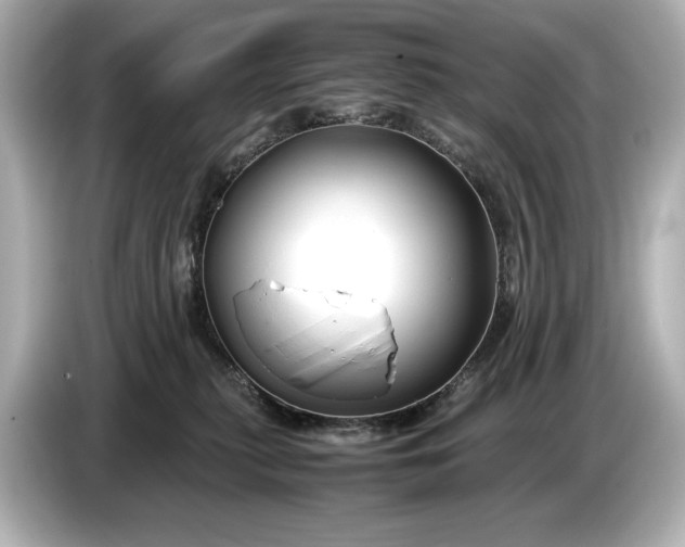 X0000086960279200704301244