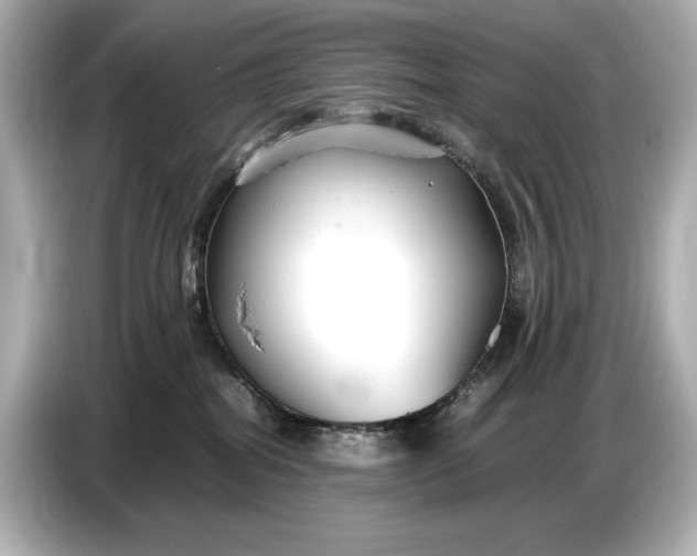 X0000086960282200704301244