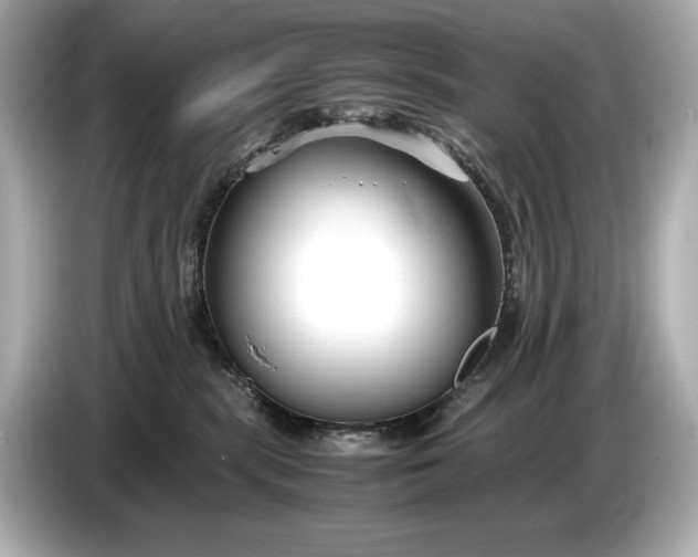 X0000086960283200704301244