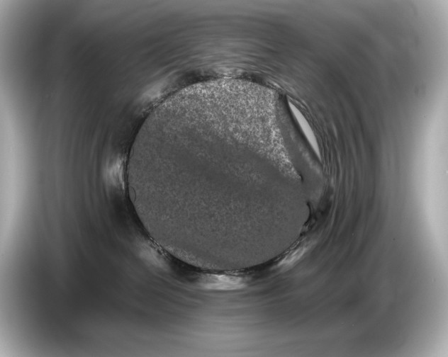 X0000086960286200704301244