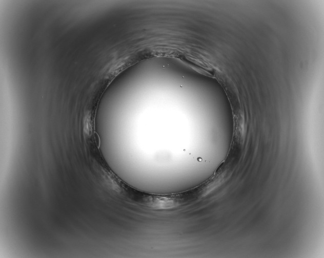 X0000086960287200704301244