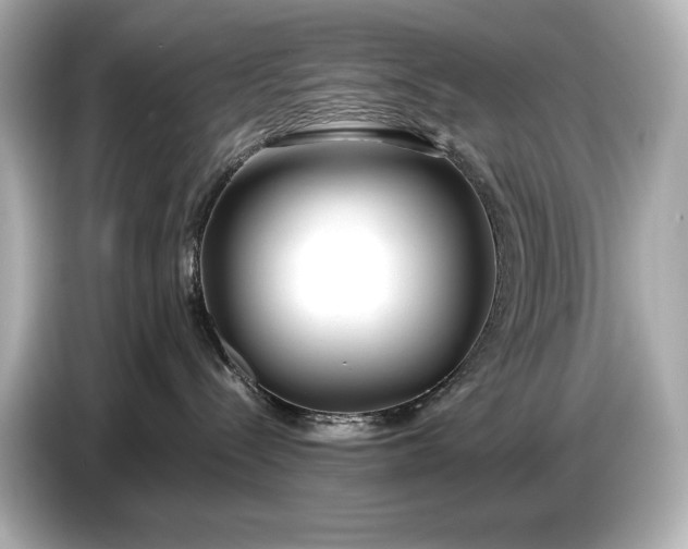 X0000086960288200704301244