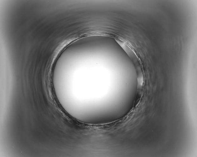 X0000086960289200704301243