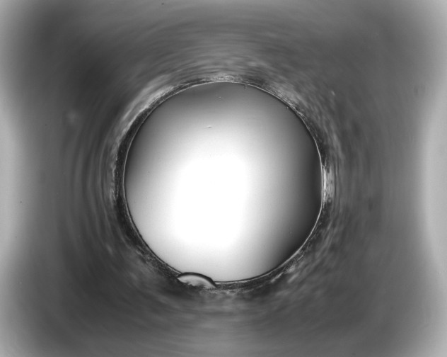 X0000086960291200704301243