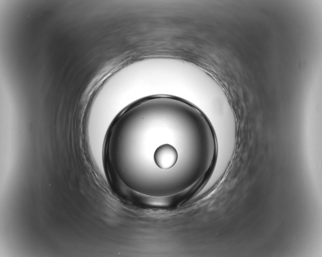 X0000086960293200704301243