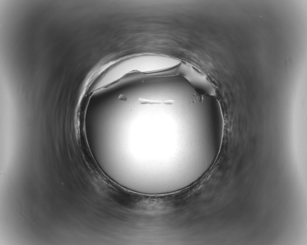 X0000086960294200704301243