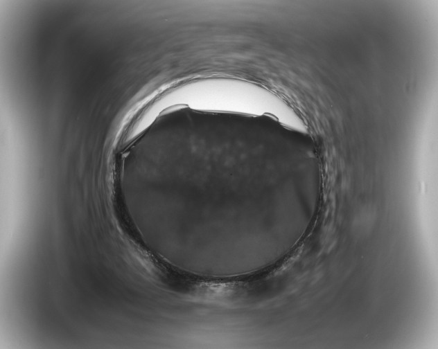 X0000086960295200704301243