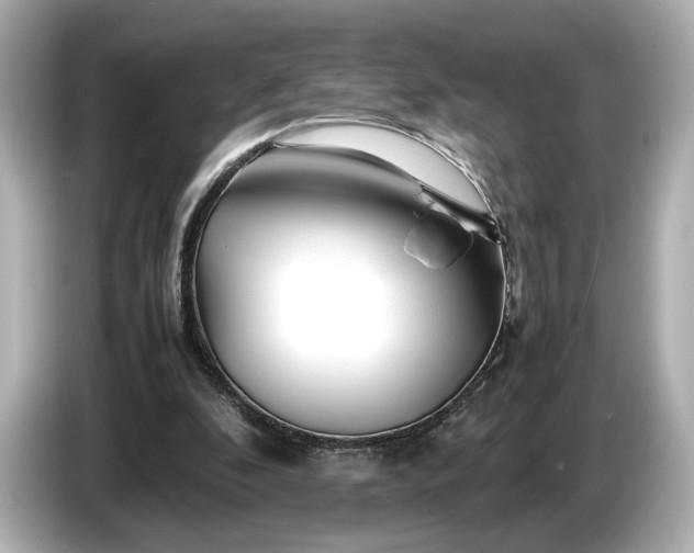 X0000086960296200704301243