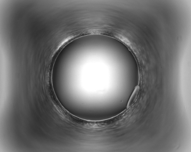 X0000086960297200704301243