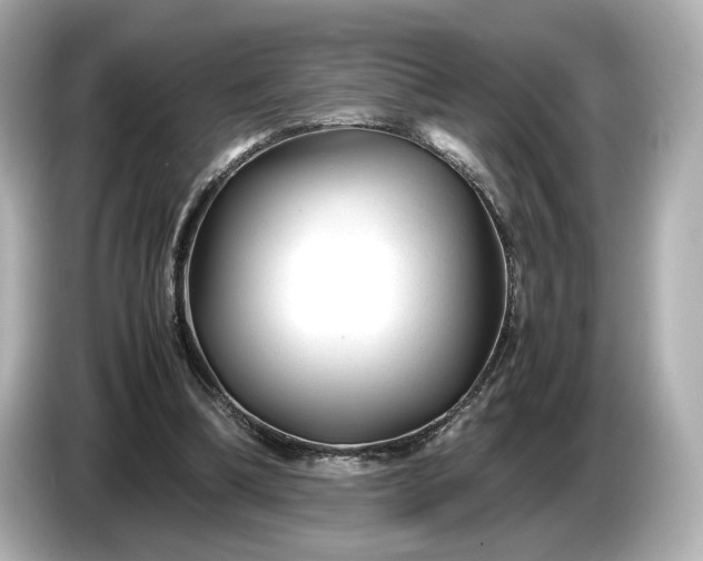 X0000086960298200704301243