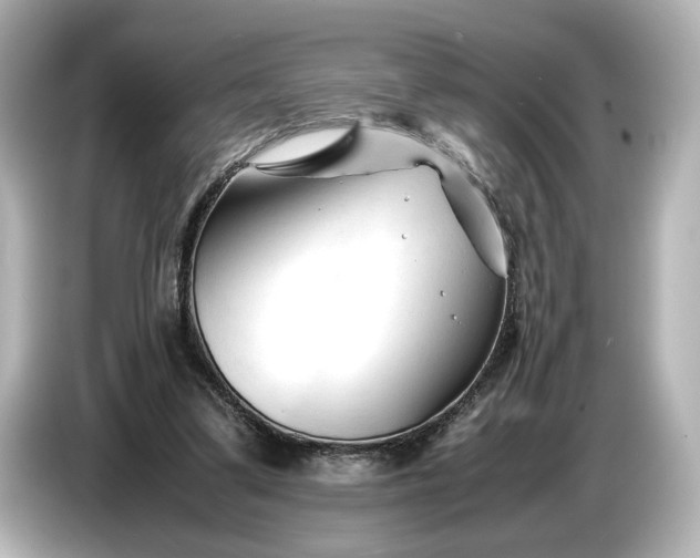 X0000086960299200704301243