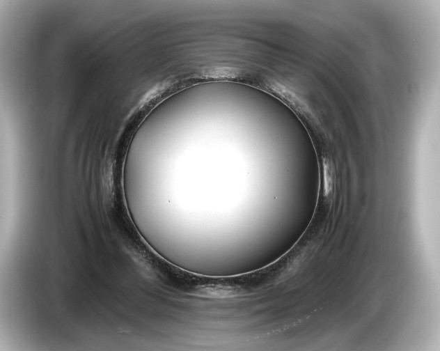 X0000086960300200704301243
