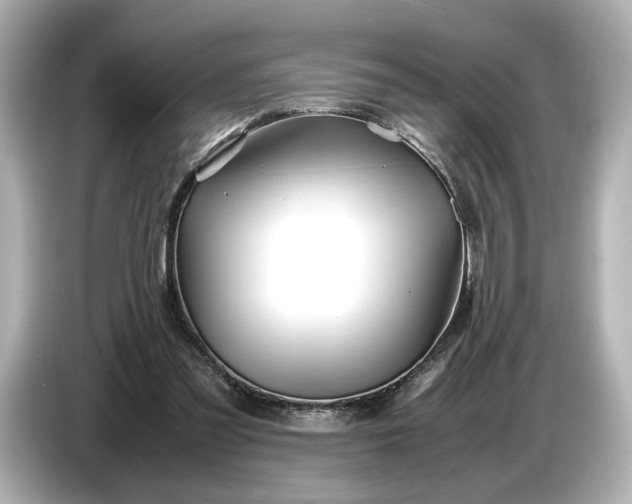 X0000086960301200704301243