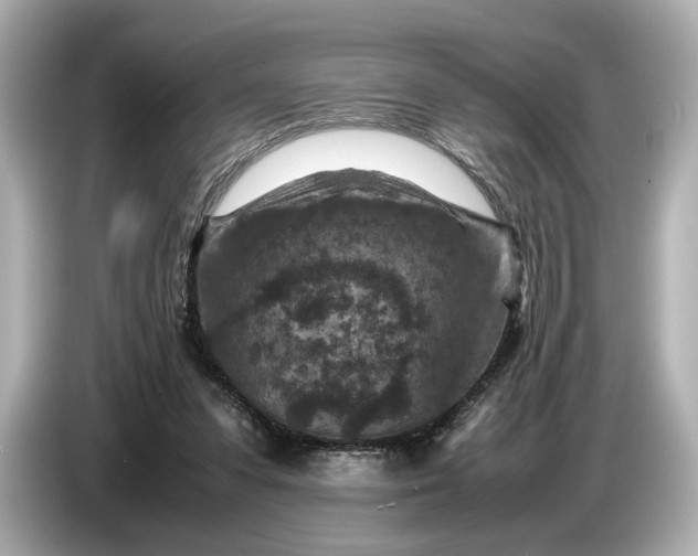 X0000086960303200704301243