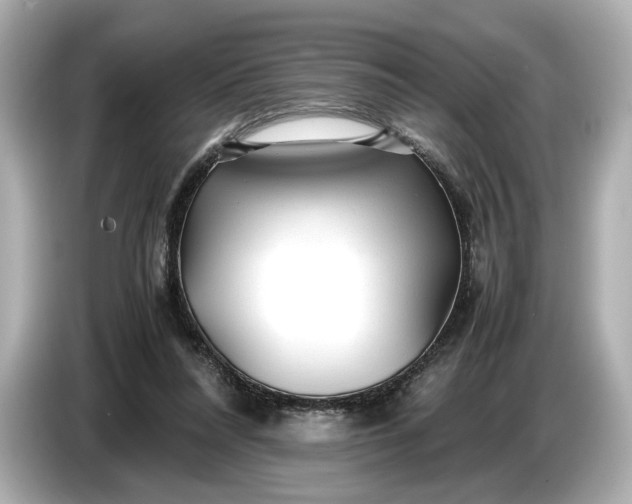 X0000086960304200704301243